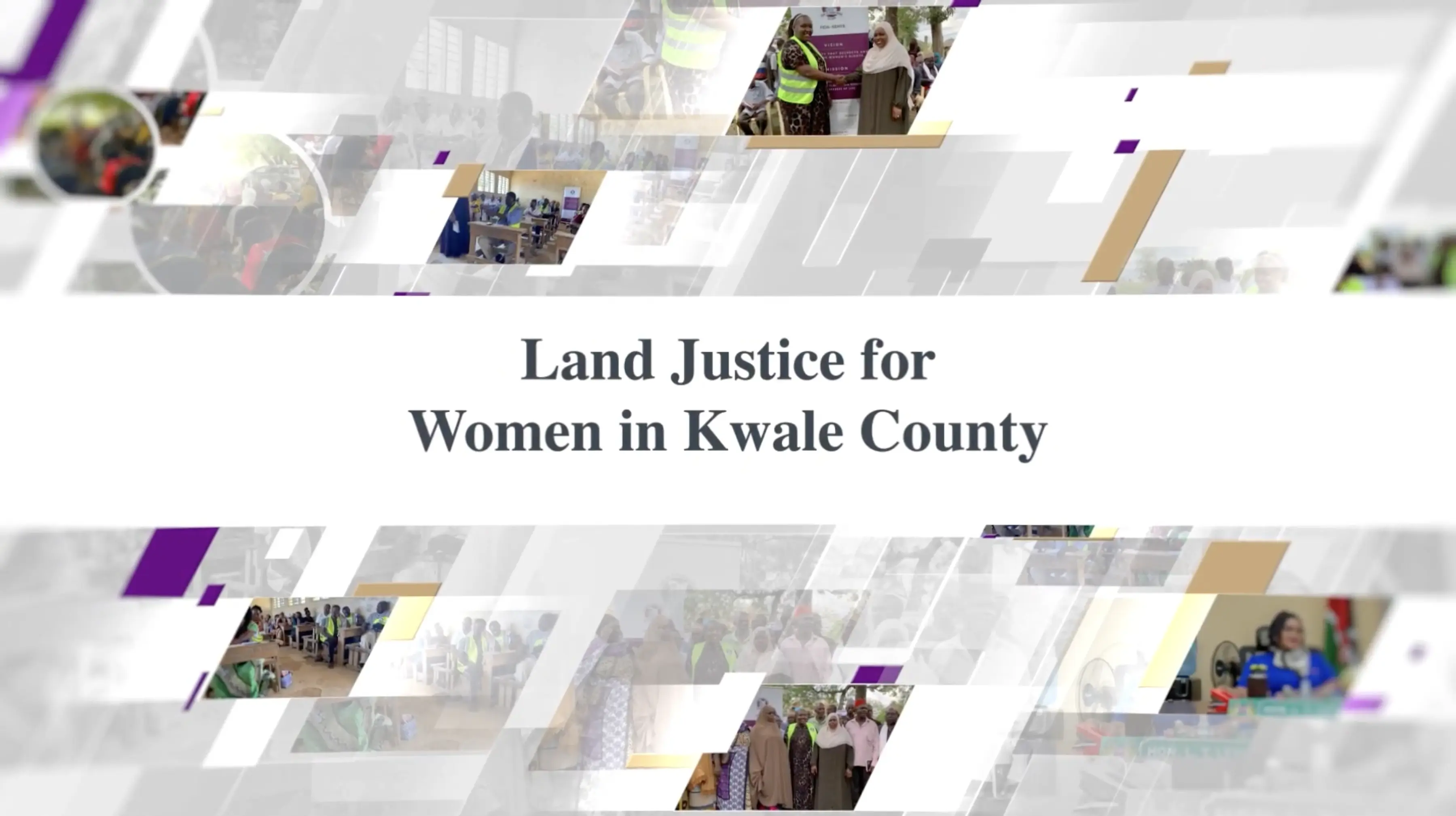 Women's Rights & Justice